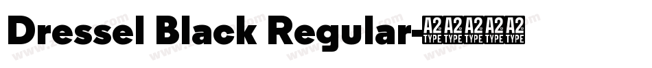 Dressel Black Regular字体转换